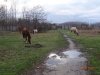 Рождественский парк